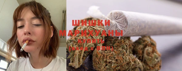 спиды Краснослободск