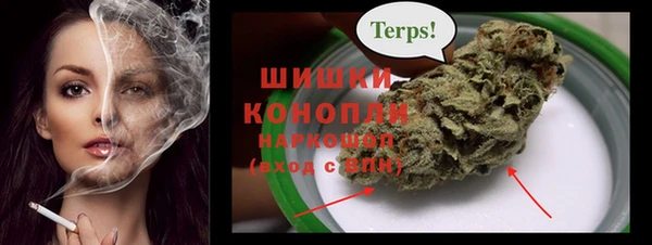 спиды Краснослободск