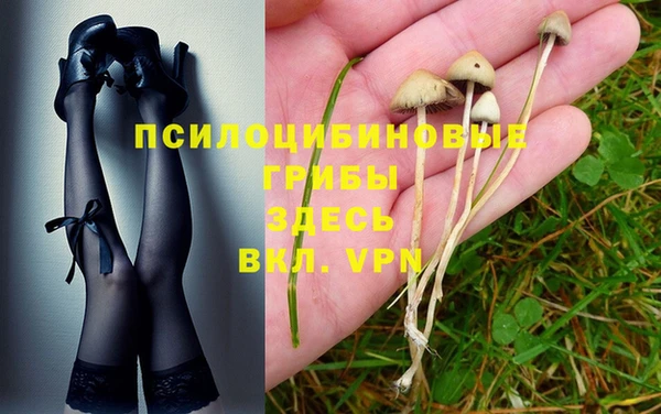 спиды Краснослободск