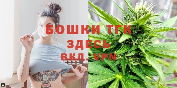 спиды Краснослободск
