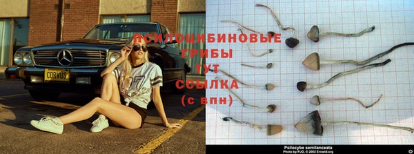 COCAINE Краснотурьинск