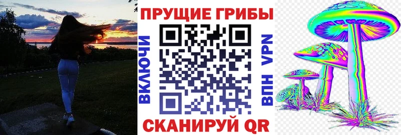 Купить  Ельня  Галлюциногенные грибы мухоморы 